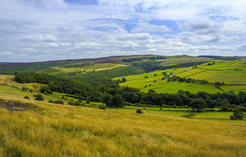 Eyam Moor Eyam Moor